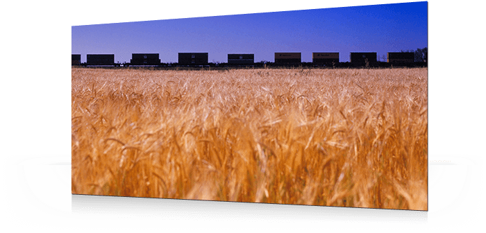 Grain
